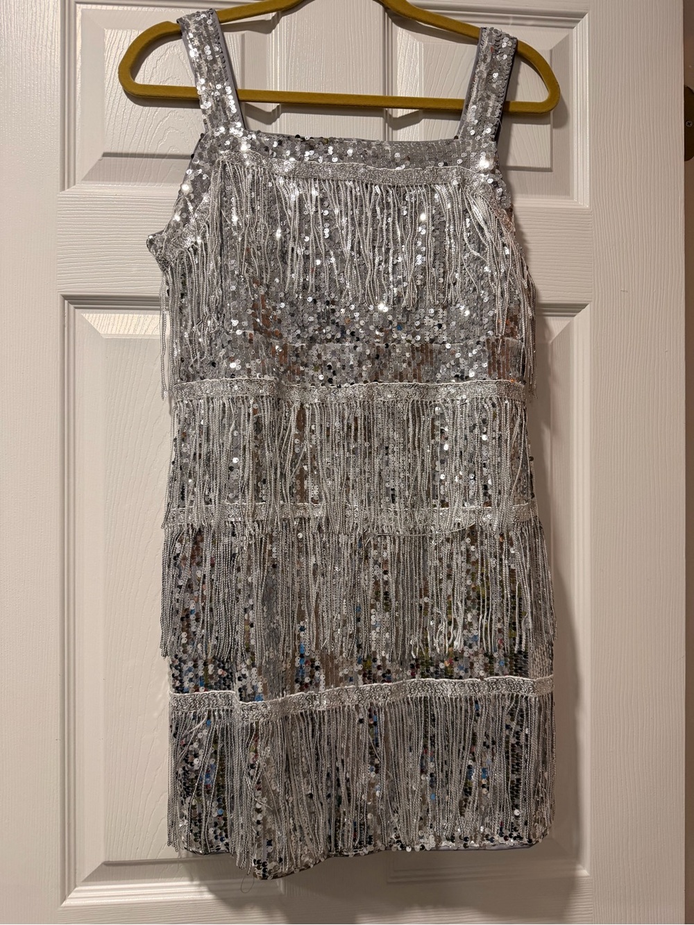 SHEIN Silver Sequin Fringe Mini Dress